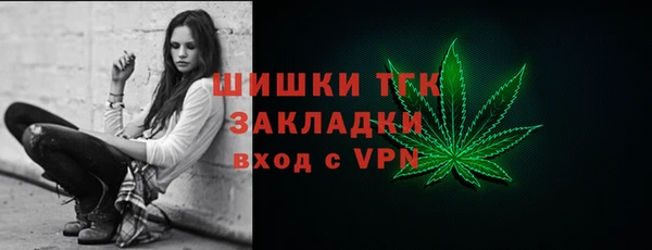 молекула духа Волоколамск