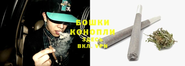 молекула духа Волоколамск