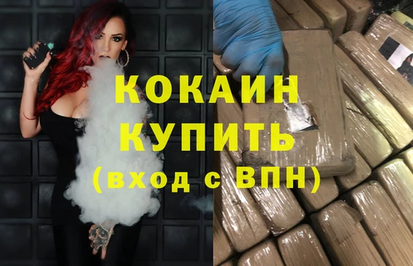 дживик Володарск