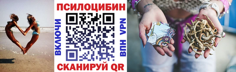 mega сайт  где найти   Невьянск  Галлюциногенные грибы мицелий 